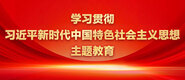 艹逼美女啪啪啪学习贯彻习近平新时代中国特色社会主义思想主题教育_fororder_ad-371X160(2)